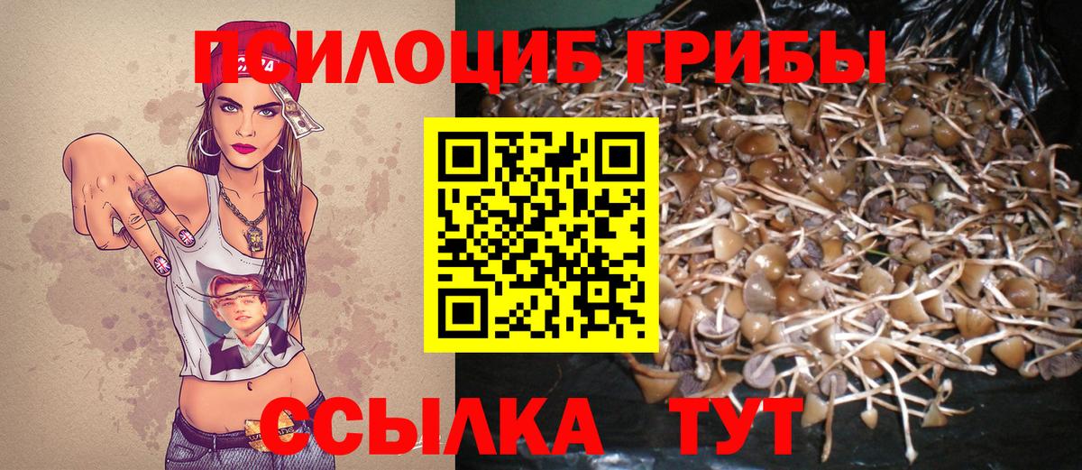 Отрадное  Псилоцибиновые грибы мицелий  Вход с VPN 